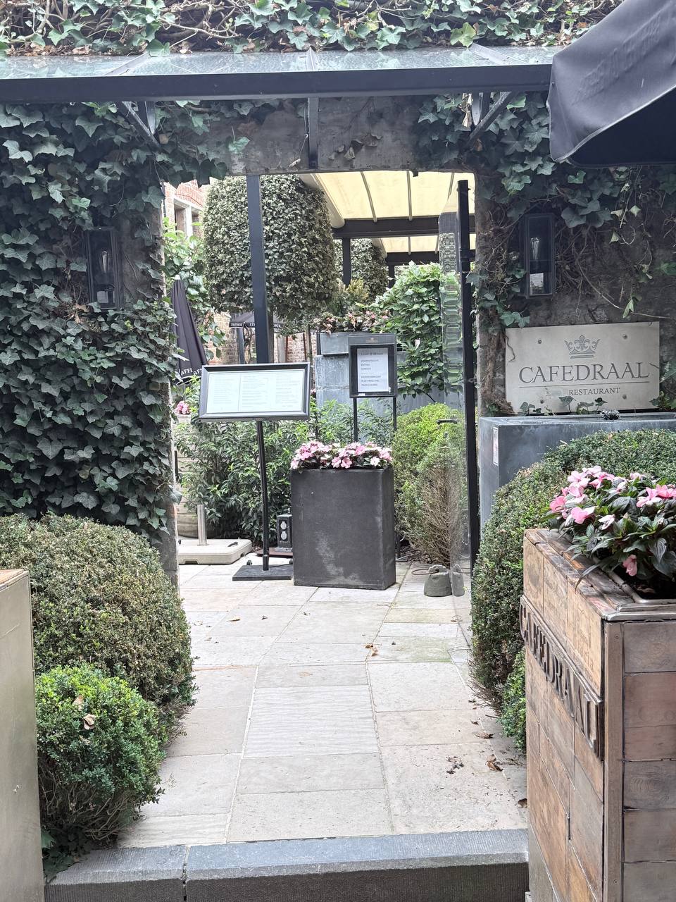 The ivy-covered arched entrance to Cafedraal restaurant in Bruges, with stone-paved path, climbing ivy, and pink flowers