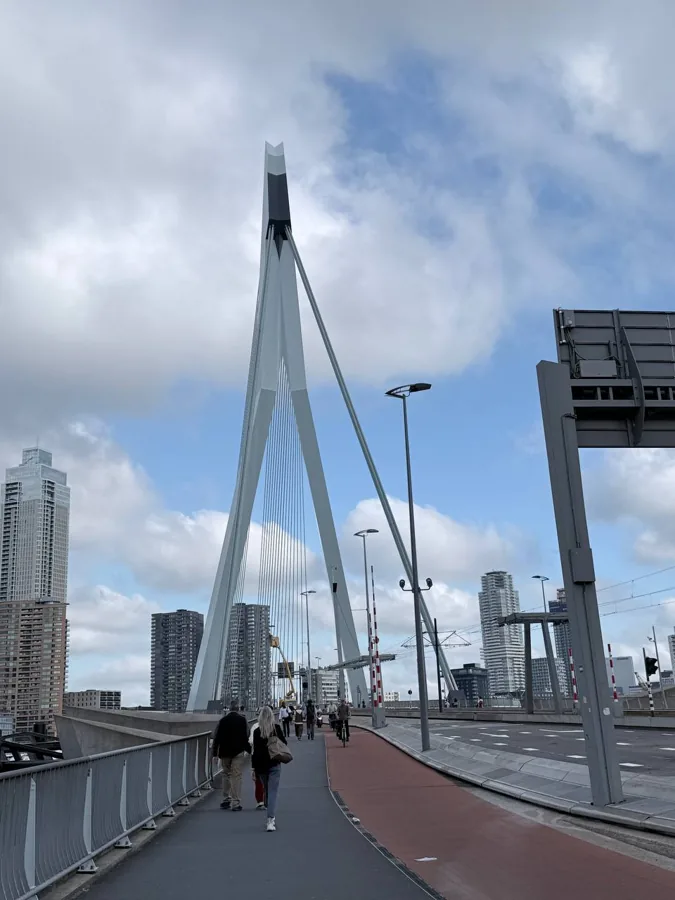 Erasmus Bridge in Rotterdam spanning the Nieuwe Maas river